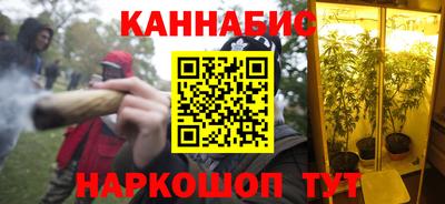 не бодяженный Сланцы