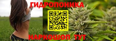 не бодяженный Сланцы